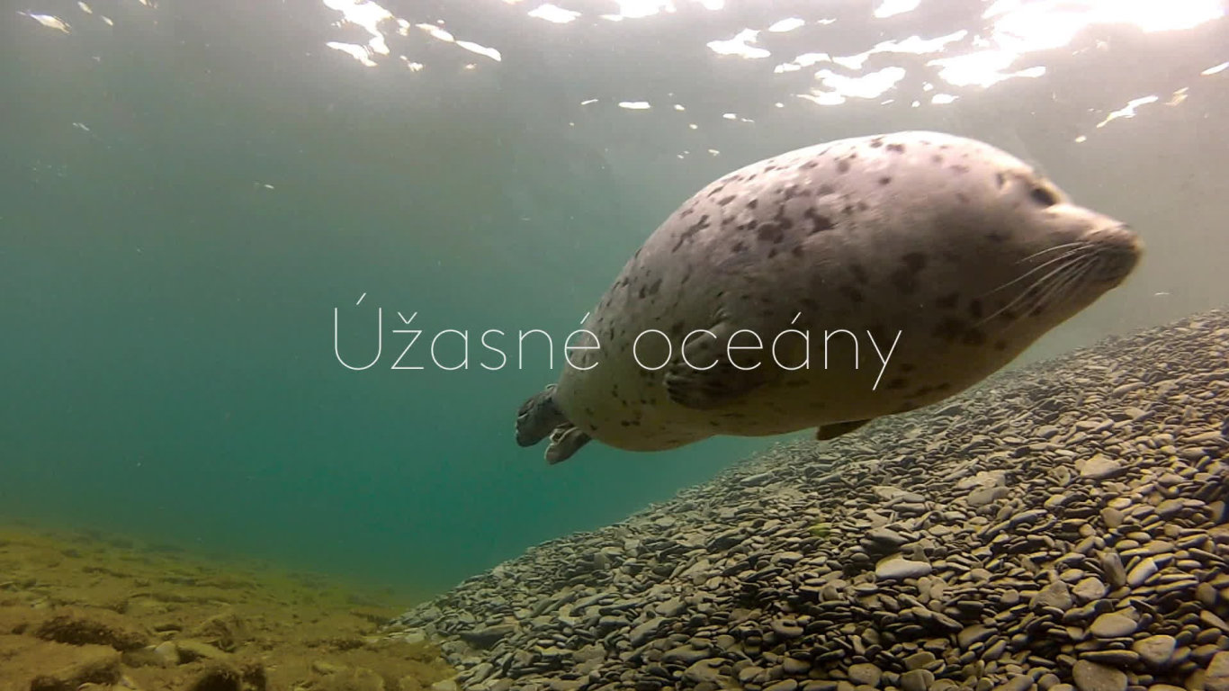 V říši jezerních tuleňů (1) - upoutávka