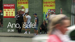 Ano, šéfe! VII (3) - upoutávka