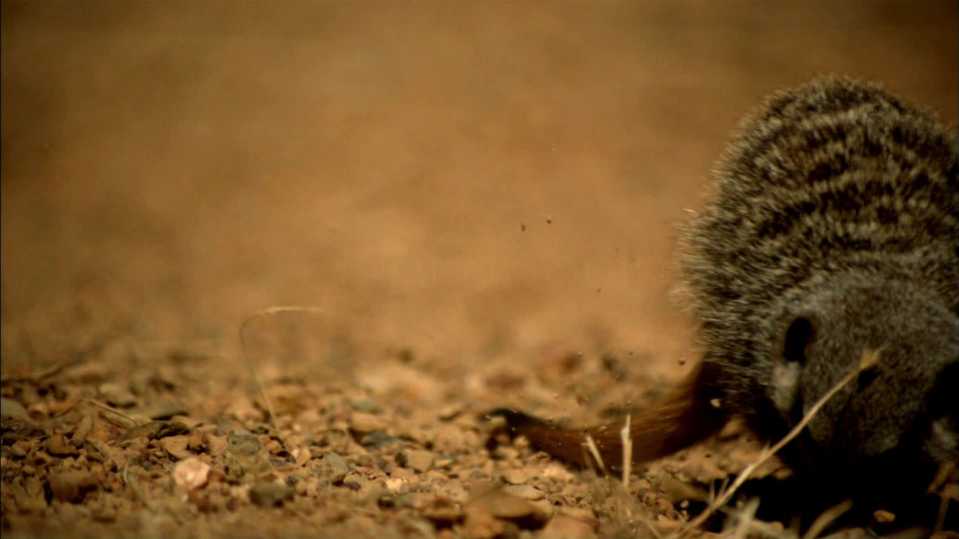 Rychlost zabíjí (1) - upoutávka