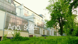 Ano, šéfe! VI (14) - upoutávka