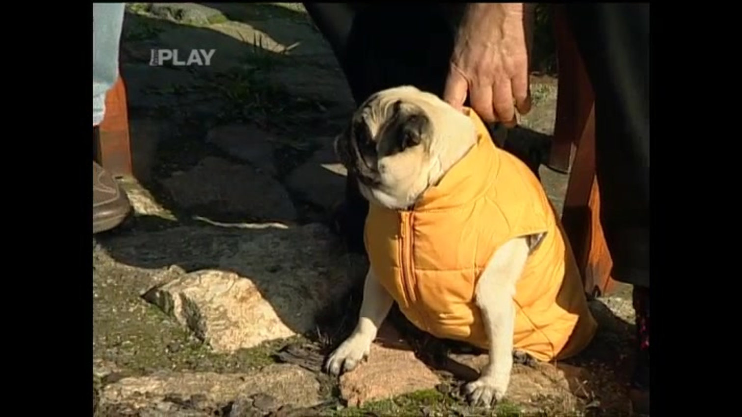 Náhled videa