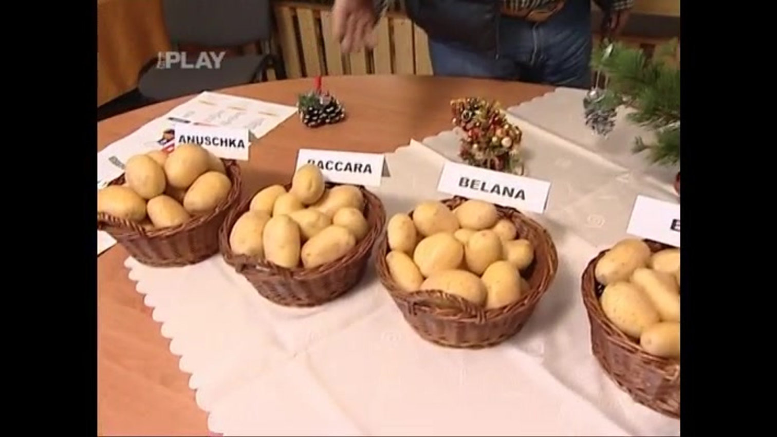 Náhled videa