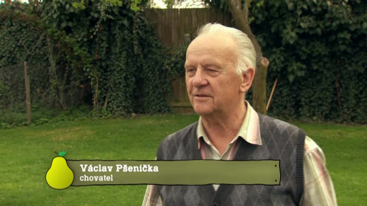 Náhled videa
