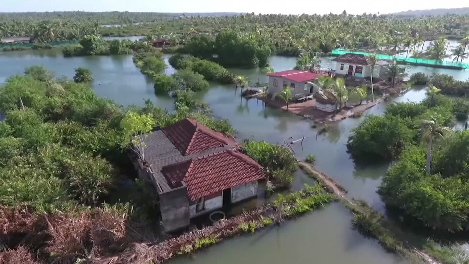 Náhled videa