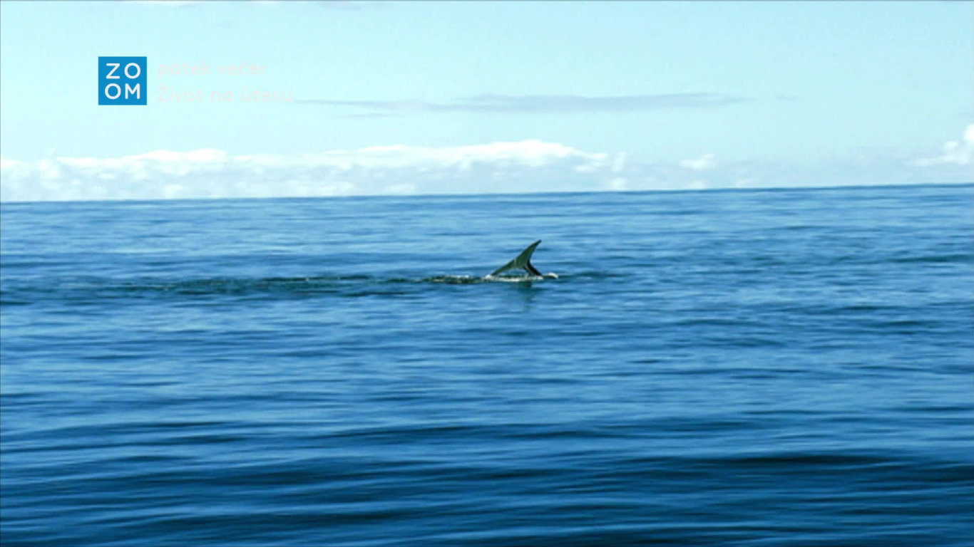Život na útesu (1) - upoutávka