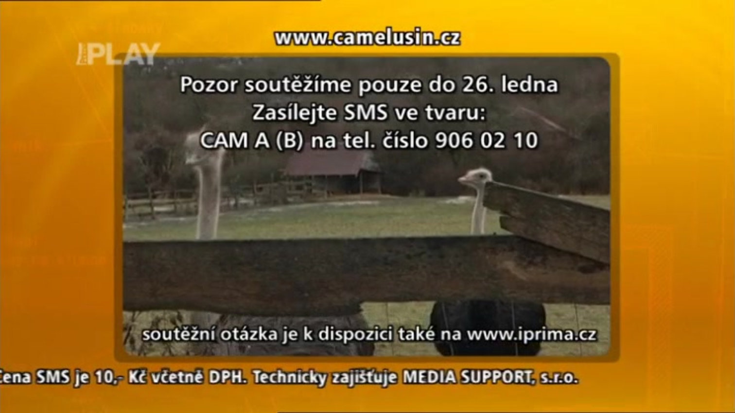 Náhled videa
