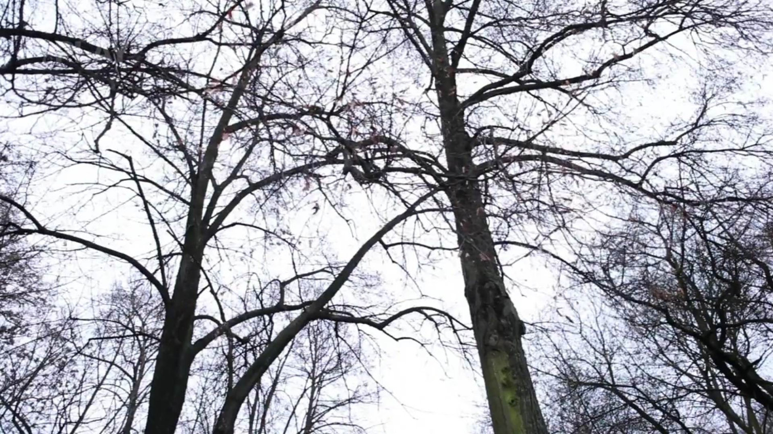 Náhled videa