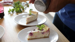 Cheesecake s čerstvými ostružinami