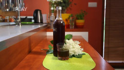 Jak vyrobit bezinkový sirup