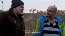  Ano, šéfe! VII (7): Procházka