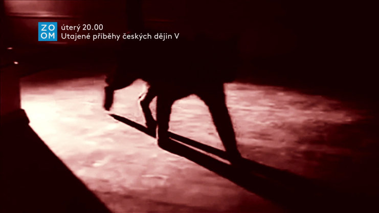 Náhled videa