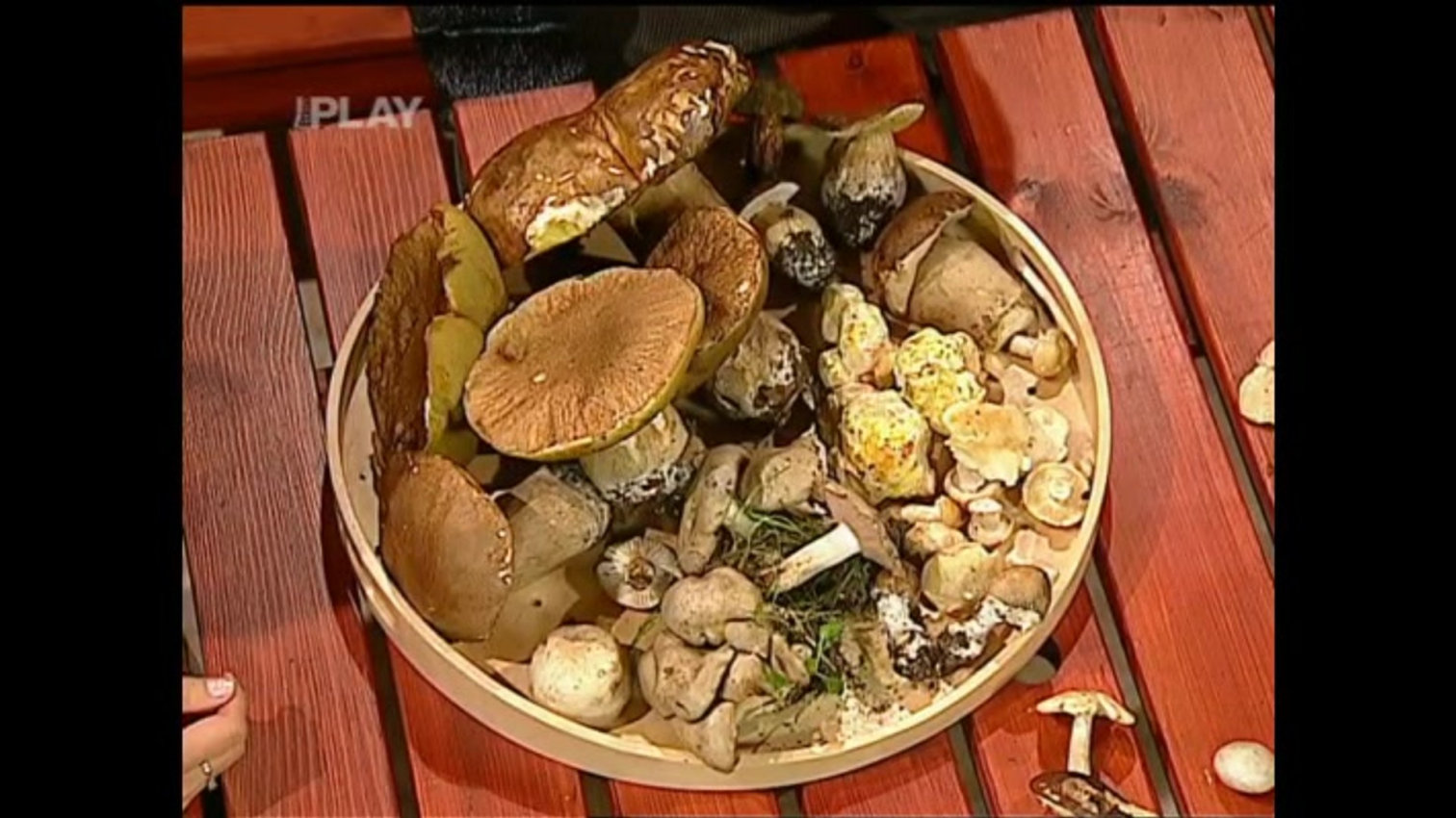 Náhled videa