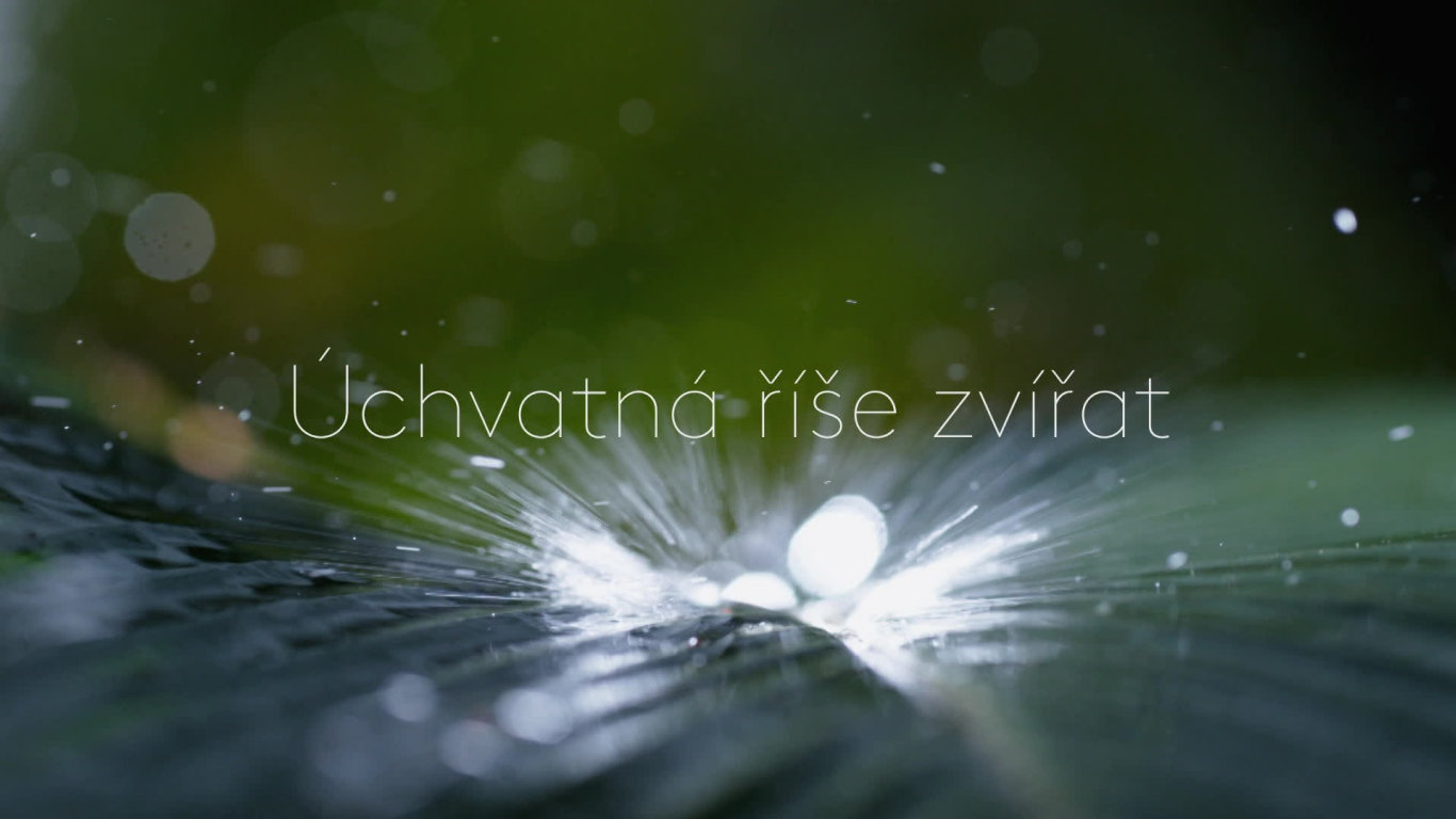 Zázračná planeta II (3) - upoutávka