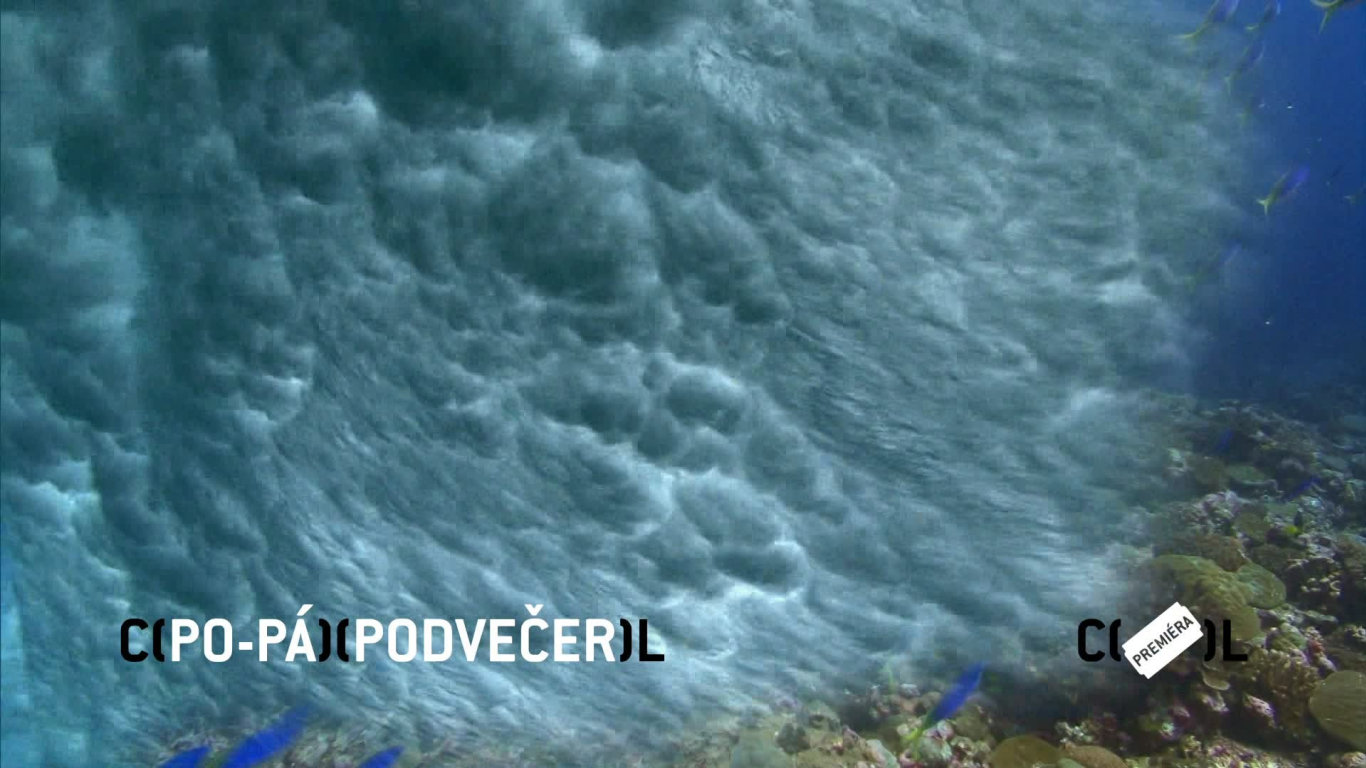 Kdo přežije: Jižní Pacifik (1) - upoutávka