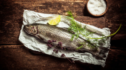 Pstruh na roštu se zeleninovým salátem a studenou koprovou omáčkou
