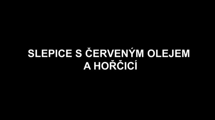Náhled videa