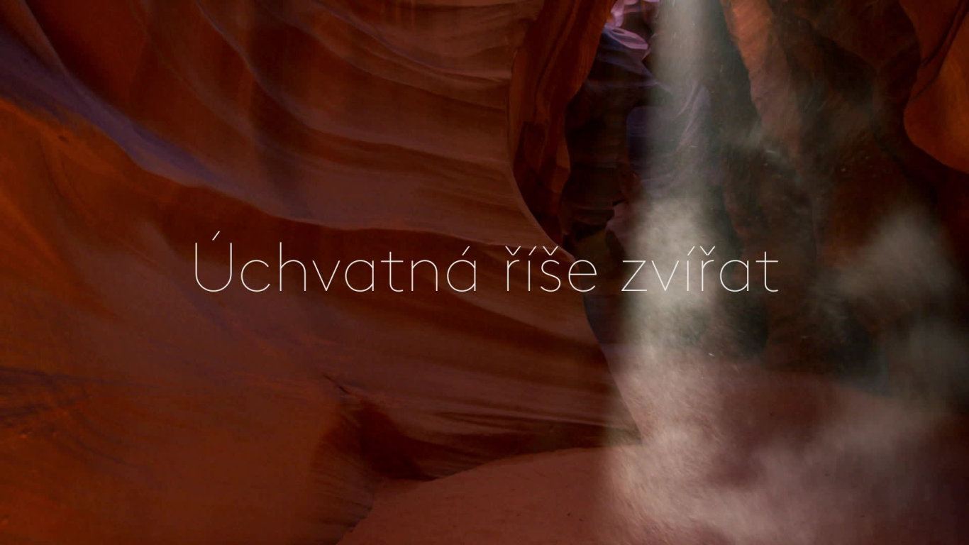 Zázračná planeta II (4) - upoutávka