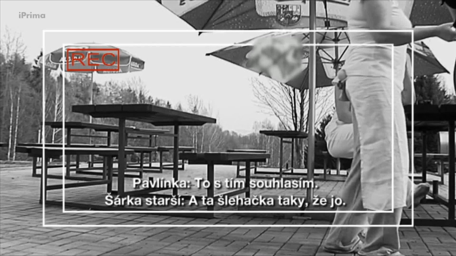 Náhled videa
