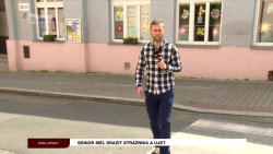 Senior měl srazit strážníka a ujet