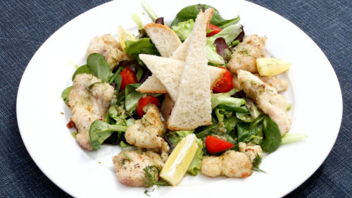 Kapr dle zámeckého zahradníka