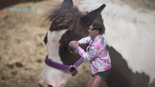 NEČUM NA MĚ SHOW: Šílená omluva Renata Salerna poníkovi za to, že z něj má pásek