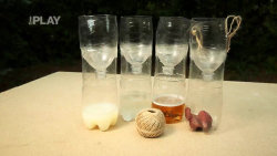 Jak vyrobit lapač na vosy