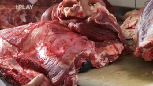 Šéf na grilu II - Mleté maso na gril