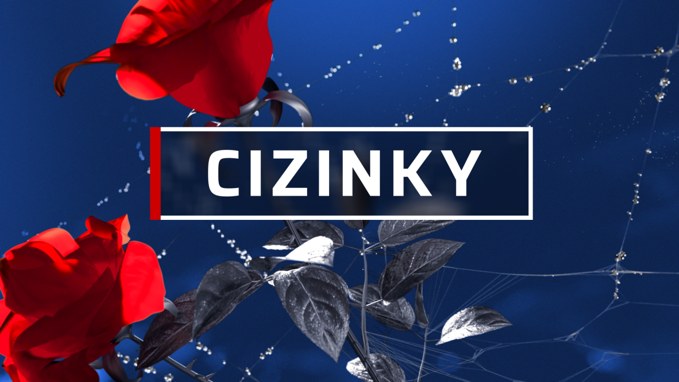 Cizinky