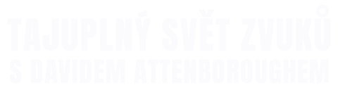 Tajuplný svět zvuků s Davidem Attenboroughem