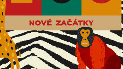 ZOO Nové začátky