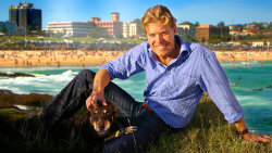 Veterinář z Bondi Beach