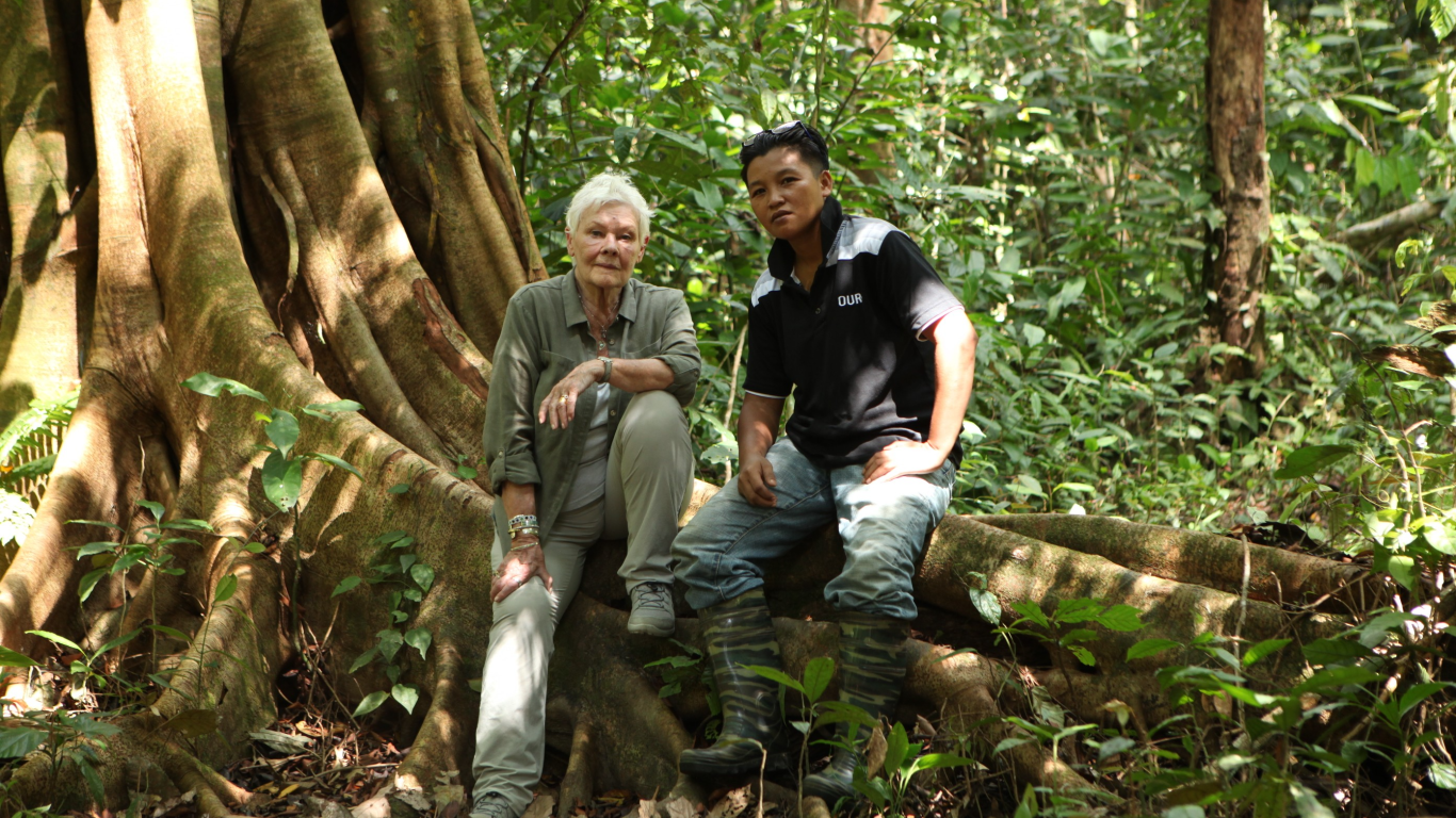 Divoké Borneo Judi Denchové