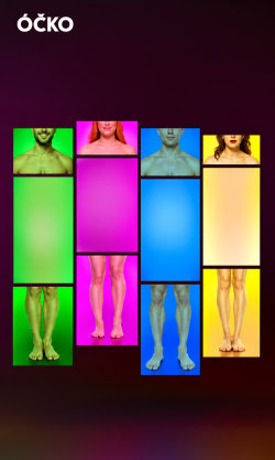 Naked Attraction CZ & SK 