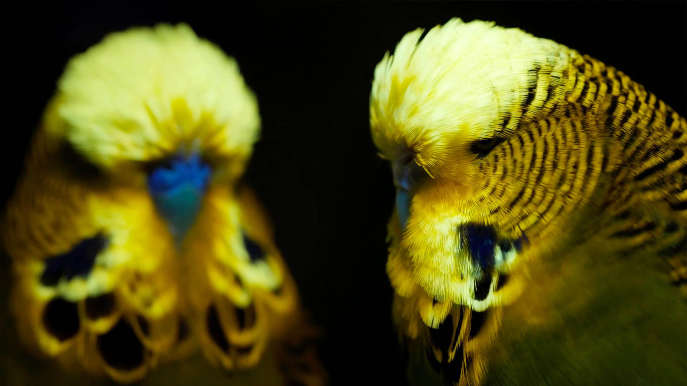 Odhalená tajemství fluorescence