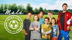 Malá velká liga