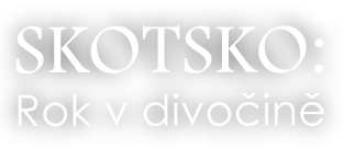 Skotsko: Rok v divočině