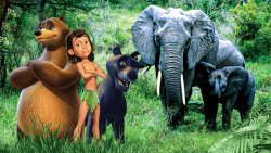 Kniha džunglí Safari