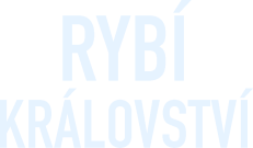 Rybí království