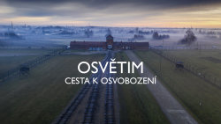 Osvětim: Cesta k osvobození