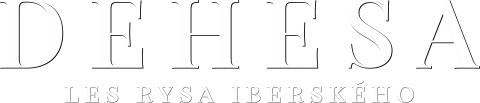 Dehesa: Les rysa iberského