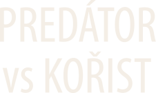 Predátor vs. kořist