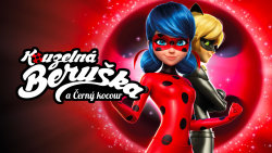 Kouzelná Beruška a Černý kocour