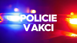 Policie v akci