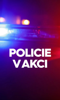 Policie v akci
