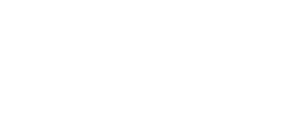 Policie v akci