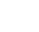 Příběh koček