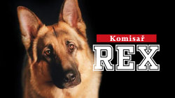 Komisař Rex