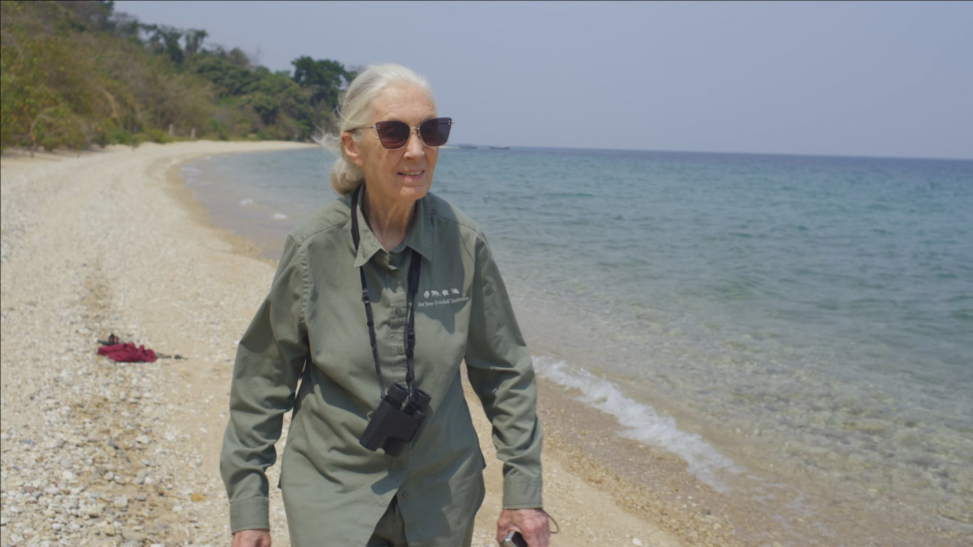Jane Goodallová: Naděje
