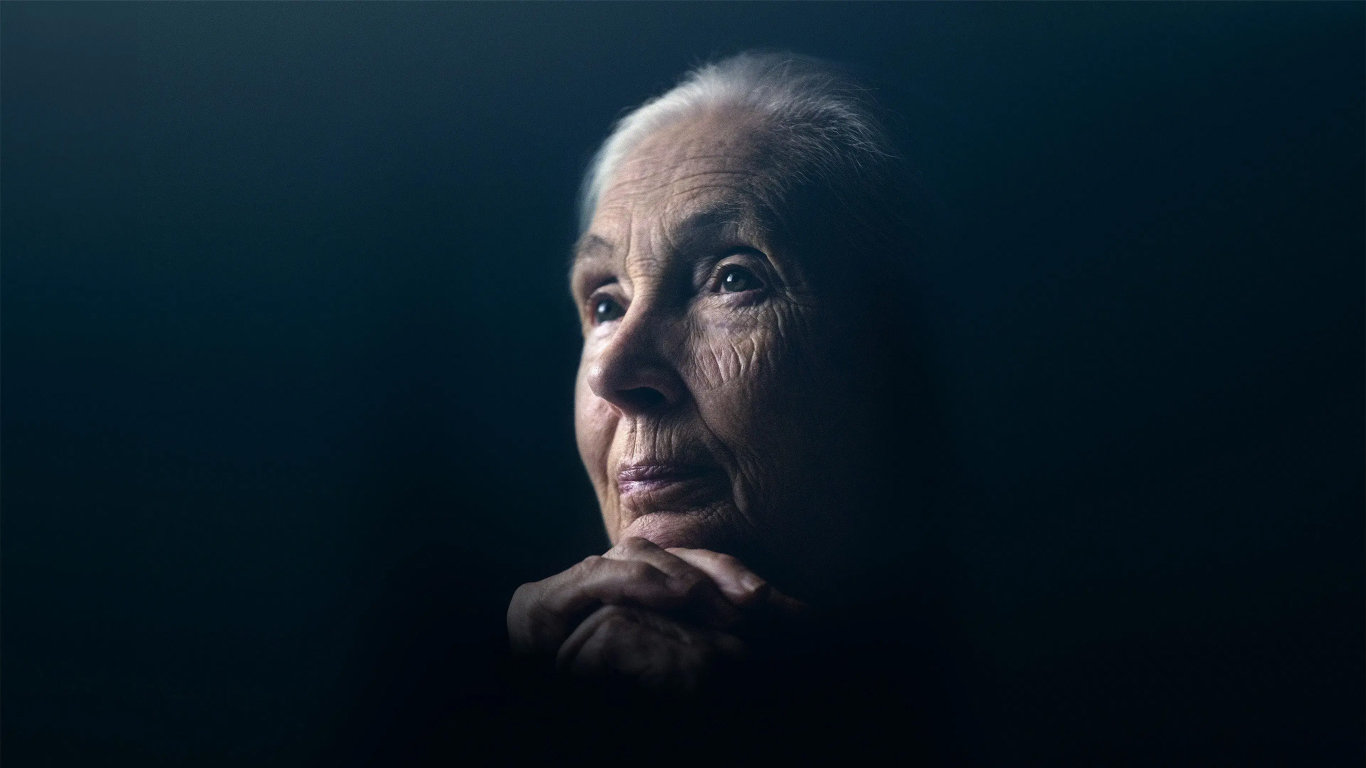 Jane Goodallová: Naděje