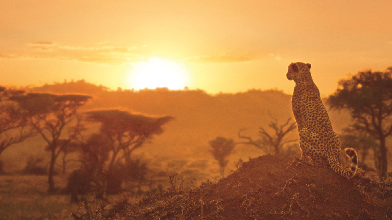 Serengeti